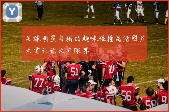 足球明星与猪的趣味碰撞高清图片大赏让你大开眼界