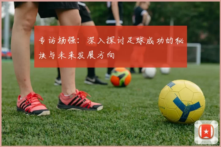 专访杨强：深入探讨足球成功的秘诀与未来发展方向