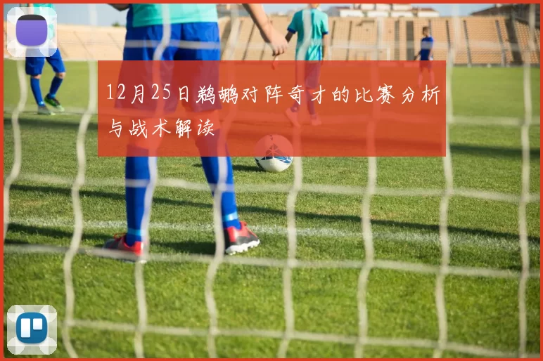 12月25日鹈鹕对阵奇才的比赛分析与战术解读