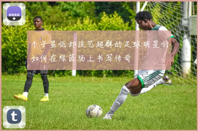 个子虽低却技艺超群的足球明星们如何在绿茵场上书写传奇
