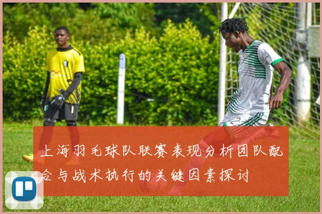 上海羽毛球队联赛表现分析团队配合与战术执行的关键因素探讨