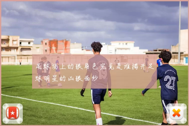 足球场上的狠角色究竟是谁揭开足球明星的凶狠面纱